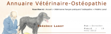 ostéopathe canin saint medard en jalles